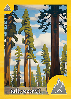 talltreetrail yellow mountain